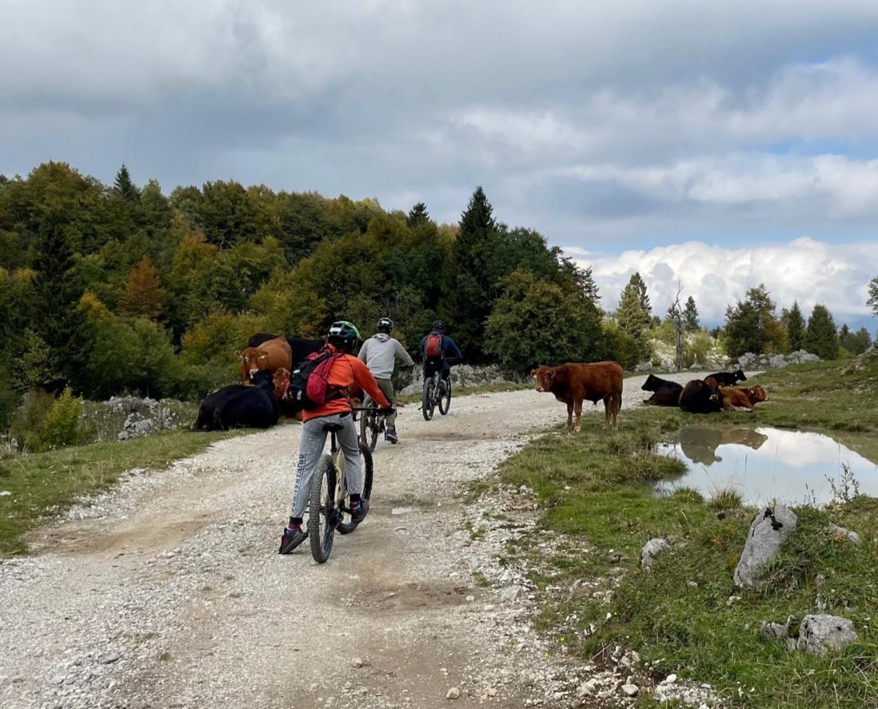 Azimut Hisa Διαμέρισμα Tolmin Εξωτερικό φωτογραφία
